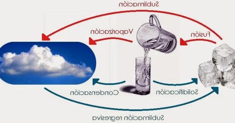 Fuerza cisalhante: conceptos básicos y aplicaciones en la mecánica de fluidos