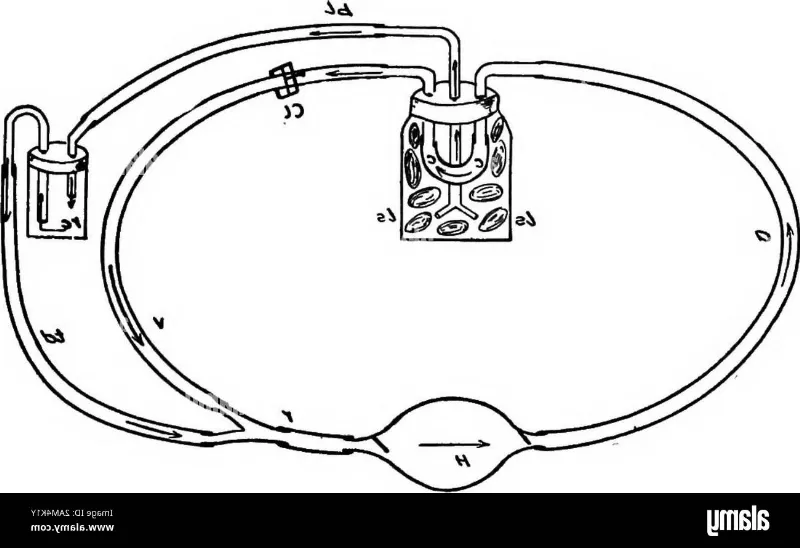 La influencia de la gravedad en la presión