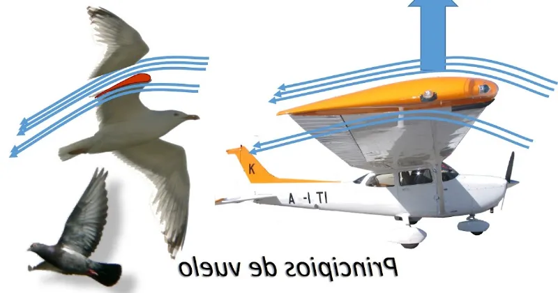 Cómo la presión afecta el vuelo de los aviones y el espacio